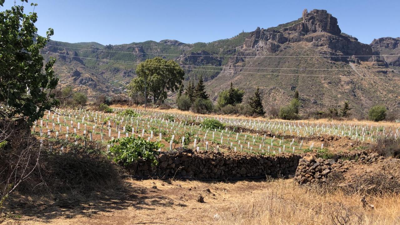 Casa-Finca El Maipez De Tejeda Las Palmas de Gran Canaria Dış mekan fotoğraf