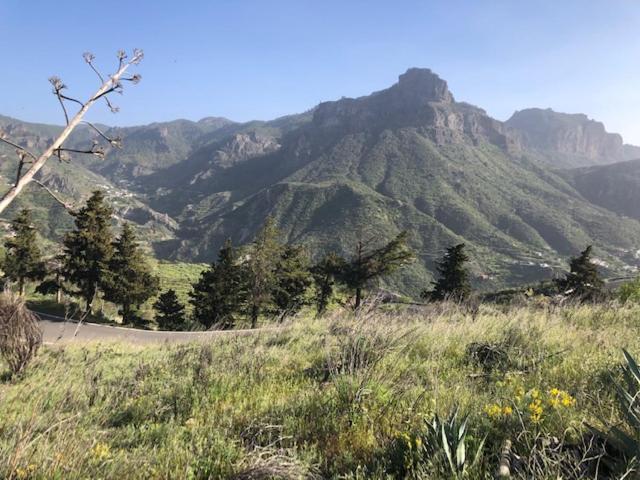 Casa-Finca El Maipez De Tejeda Las Palmas de Gran Canaria Dış mekan fotoğraf