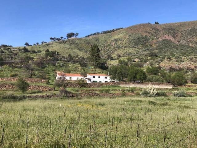 Casa-Finca El Maipez De Tejeda Las Palmas de Gran Canaria Dış mekan fotoğraf