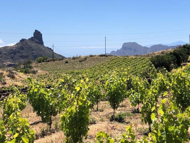 Casa-Finca El Maipez De Tejeda Las Palmas de Gran Canaria Dış mekan fotoğraf