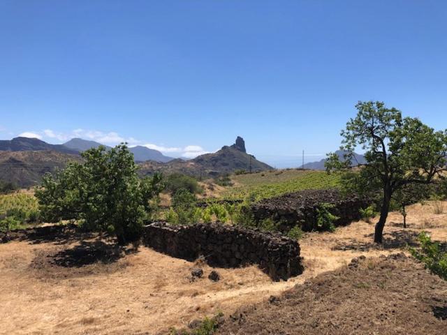 Casa-Finca El Maipez De Tejeda Las Palmas de Gran Canaria Dış mekan fotoğraf