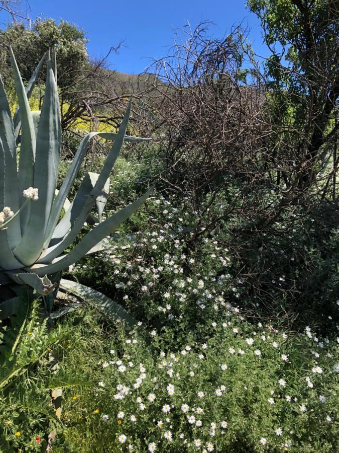 Casa-Finca El Maipez De Tejeda Las Palmas de Gran Canaria Dış mekan fotoğraf