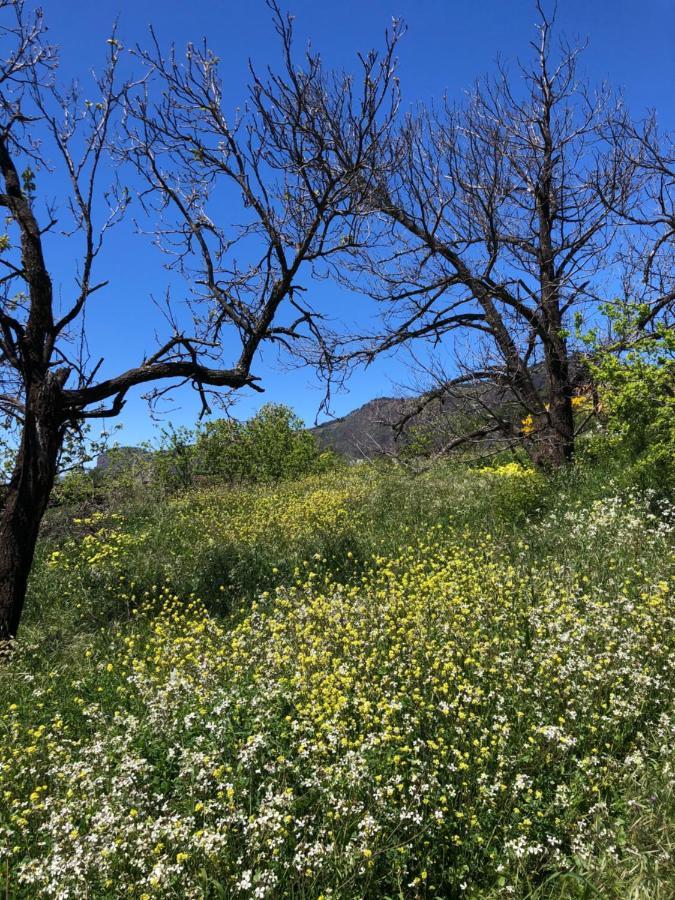 Casa-Finca El Maipez De Tejeda Las Palmas de Gran Canaria Dış mekan fotoğraf